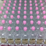 گلاب قمصر کاشان (گلاب عیار 30) (گلاب 375 عدد گل) (گلاب دو آتشه) دو لیتر با کیفیت خاص و تولید سنتی