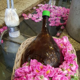 گلاب قمصر کاشان (گلاب عیار 20) (گلاب 250 عدد گل) بیست لیتر با کیفیت خاص و تولید سنتی (قیمت عمده فروشی) ارسال رایگان فقط با باربری