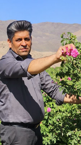 پیشنهاد شگفت انگیز